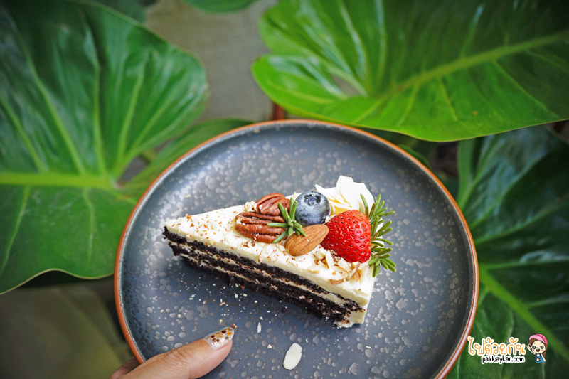 ร้านอาหารกาญจนบุรี, คาเฟ่กาญจนบุรี, rainforest café กาญจนบุรี, rainforest café กาญจนบุรี คาเฟ่ในสายหมอก ท่ามกลางสวนป่า