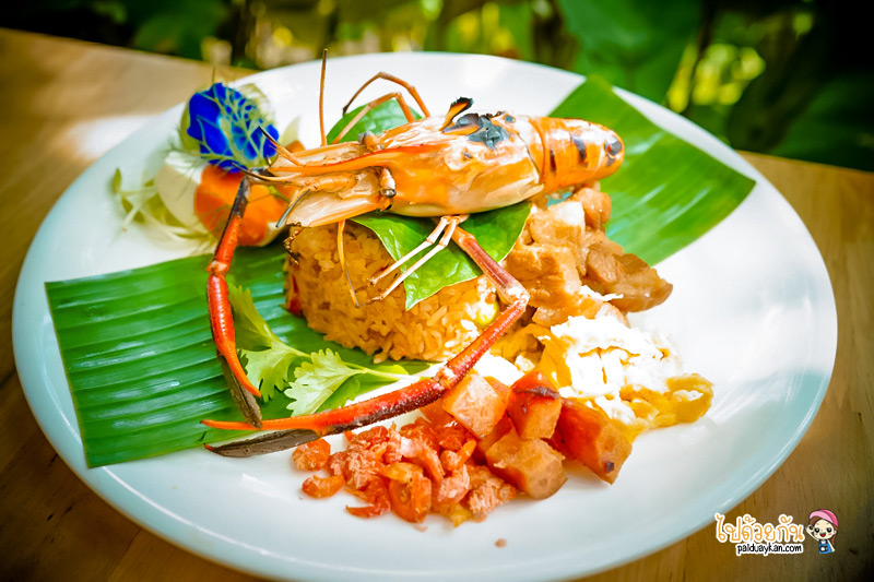 ร้านอาหารกาญจนบุรี, คาเฟ่กาญจนบุรี, rainforest café กาญจนบุรี, rainforest café กาญจนบุรี คาเฟ่ในสายหมอก ท่ามกลางสวนป่า