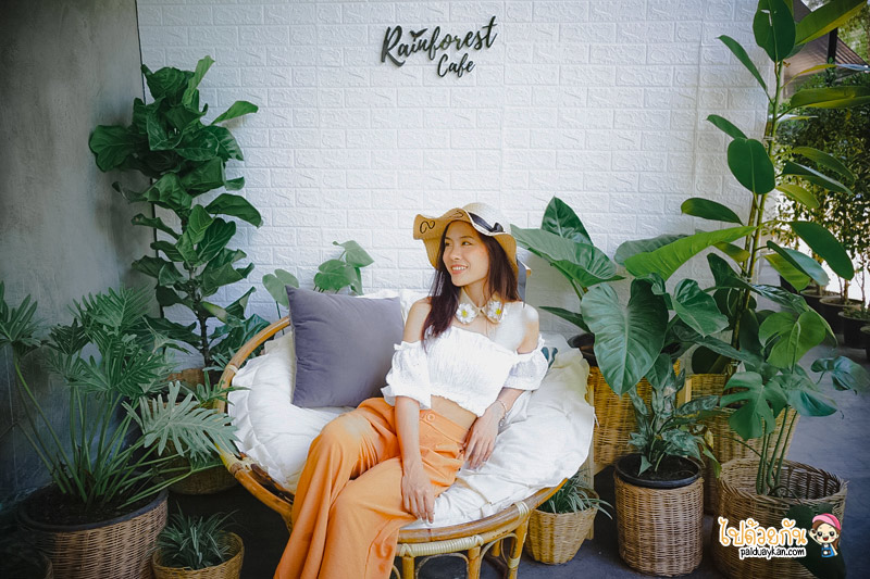 ร้านอาหารกาญจนบุรี, คาเฟ่กาญจนบุรี, rainforest café กาญจนบุรี, rainforest café กาญจนบุรี คาเฟ่ในสายหมอก ท่ามกลางสวนป่า