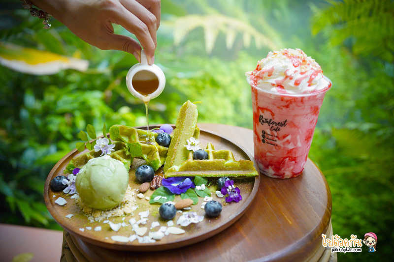 ร้านอาหารกาญจนบุรี, คาเฟ่กาญจนบุรี, rainforest café กาญจนบุรี, rainforest café กาญจนบุรี คาเฟ่ในสายหมอก ท่ามกลางสวนป่า