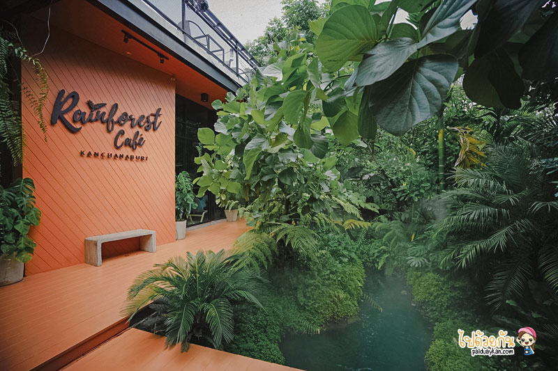 ร้านอาหารกาญจนบุรี, คาเฟ่กาญจนบุรี, rainforest café กาญจนบุรี, rainforest café กาญจนบุรี คาเฟ่ในสายหมอก ท่ามกลางสวนป่า