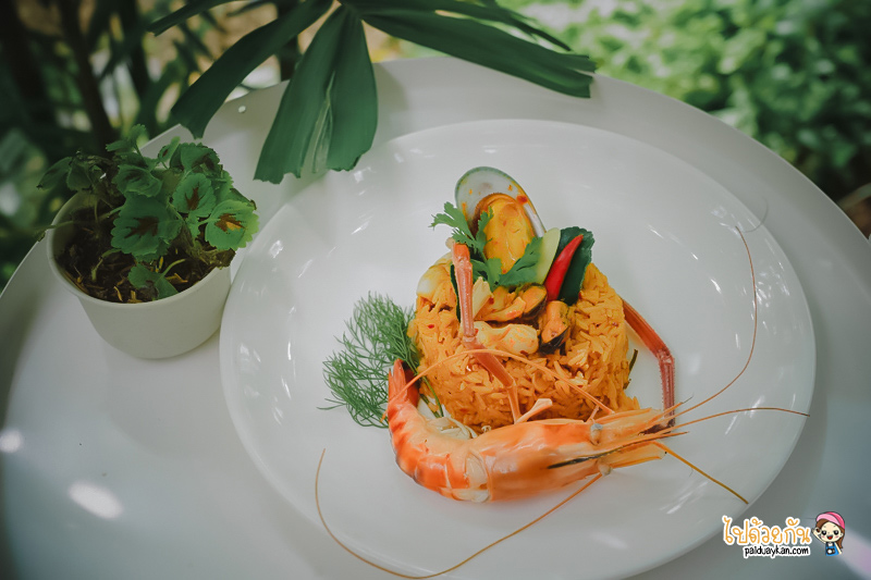 ร้านอาหารกาญจนบุรี, คาเฟ่กาญจนบุรี, rainforest café กาญจนบุรี, rainforest café กาญจนบุรี คาเฟ่ในสายหมอก ท่ามกลางสวนป่า