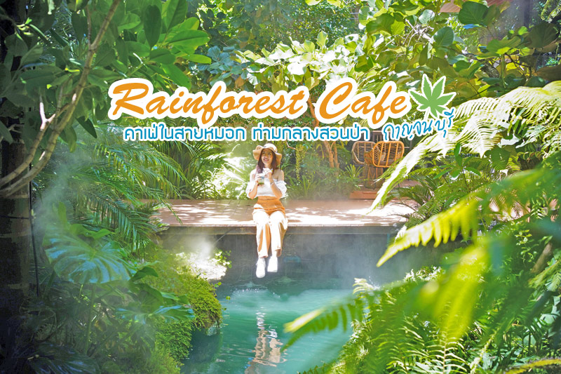 Rainforest Caf&eacute; กาญจนบุรี คาเฟ่ในสายหมอก ท่ามกลางสวนป่า