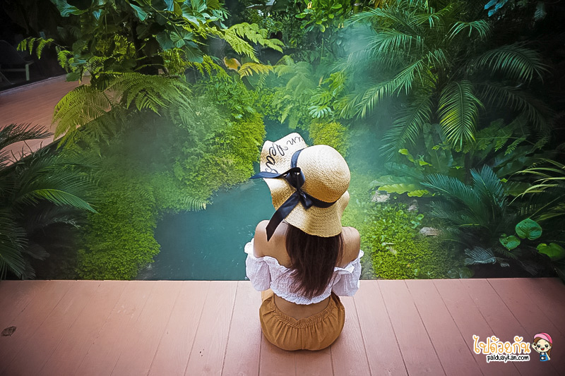 ร้านอาหารกาญจนบุรี, คาเฟ่กาญจนบุรี, rainforest café กาญจนบุรี, rainforest café กาญจนบุรี คาเฟ่ในสายหมอก ท่ามกลางสวนป่า