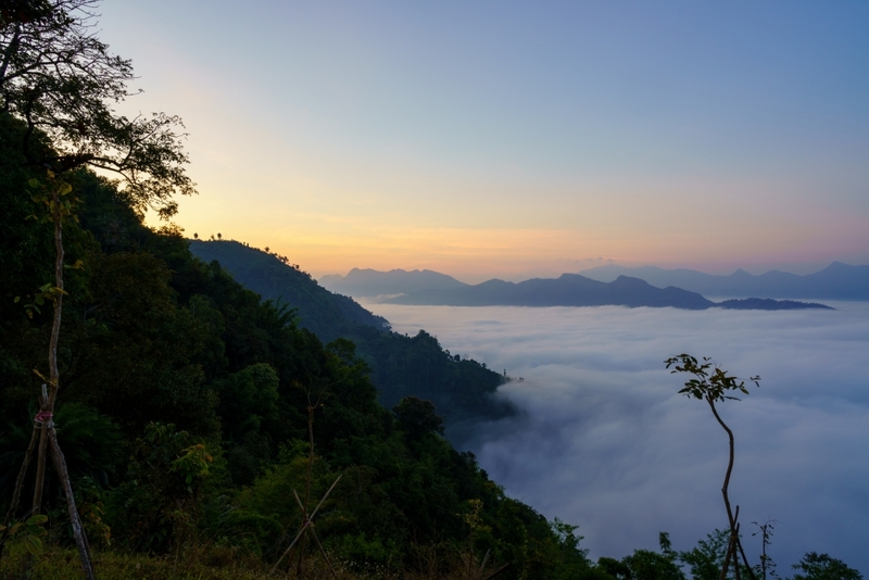 akha framville, กลอเซโล, ดอยเสมอดาว, ทะเลสวยระดับโลก, ทะเลหมอกสองแผ่นดิน, ที่เที่ยว 2023, ที่เที่ยว 2566, ที่เที่ยวยอดฮิต 2023, ที่เที่ยวยอดฮิต 2566, บ้านนาเลาใหม่, บ้านรักไทย, บ้านแม่ออ, พระนครศรีอยุธยา, ภูทับเบิก, ภูเก็ต, วัดมหาธาตุ, หมู่บ้านชาวมอแกน, หมู่บ้านสะปัน, หาดฟรีด้อม, อาข่าฟาร์ม, อุทยานแห่งชาติหมู่เกาะสุรินทร์, เกาะกระดาน, เกาะล้าน, เกาะสมุย, เขาช่องลม, เขาช้างเผือก, เขาใหญ่, เที่ยวที่ไหนดี, เที่ยวไทย 2023, เที่ยวไทย 2566, เที่ยวไหนดี, เที่ยวไหนดี ? 15 ที่เที่ยวยอดฮิต [กรกฎาคม 2024] เดินทางทั่วไทย สัมผัสความสวยงาม ที่ไม่ควรพลาด