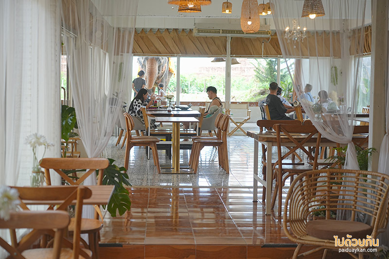 อยุธยา, คาเฟ่อยุธยา, เที่ยวอยุธยา, ayotthaya cafe  อโยธยา คาเฟ่ช้างอยุธยา จิบกาแฟชมเจดีย์ ปิคนิคถ่ายรูปให้อาหารช้าง