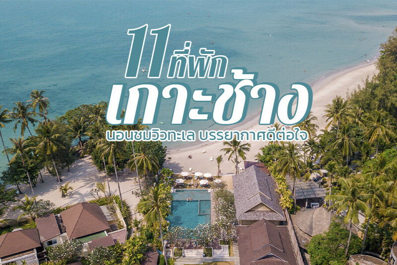 1. เอวา รีสอร์ท เกาะช้าง (Awa Resort Koh Chang), 2. เวย์นา บูติก เกาะช้าง (VAYNA Boutique Koh Chang), 3. เคซี แกรนด์ รีสอร์ท แอนด์ สปา (KC Grande Resort &amp; Spa), 4. สันธิญา ทรี เกาะช้าง รีสอร์ท (Santhiya Tree Koh Chang Resort), 5. เดอะ เดวา เกาะช้าง (The Dewa Koh Chang), 6. โคโคนัท บีช รีสอร์ท (Coconut Beach Resort), 7. เดอะ สแปลช เกาะช้าง (The Splash Koh Chang), 8. สยามเบย์ รีสอร์ท (Siam Bay Resort), 9. เมอร์เคียว เกาะช้าง ไฮด์อเวย์ (Mercure Koh Chang Hideaway), 10. ปาจามัส เกาะช้าง (Pajamas Koh Chang), 11. อาน่า รีสอร์ท แอนด์ สปา (AANA Resort &amp; Spa), Top 11+ ที่พักเกาะช้าง 2567 ราคาถูก ติดหาด แบบครอบครัว ที่พักสวยๆ