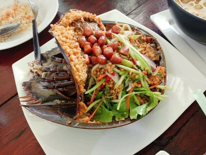 top 8+ ร้านอาหารชุมพร 2567 ร้านอาหารอร่อย ติดทะเล บรรยากาศดี