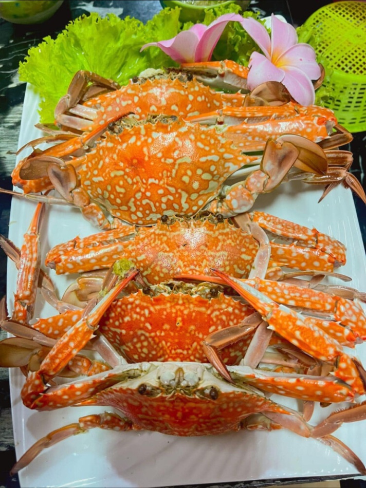 top 8+ ร้านอาหารชุมพร 2567 ร้านอาหารอร่อย ติดทะเล บรรยากาศดี