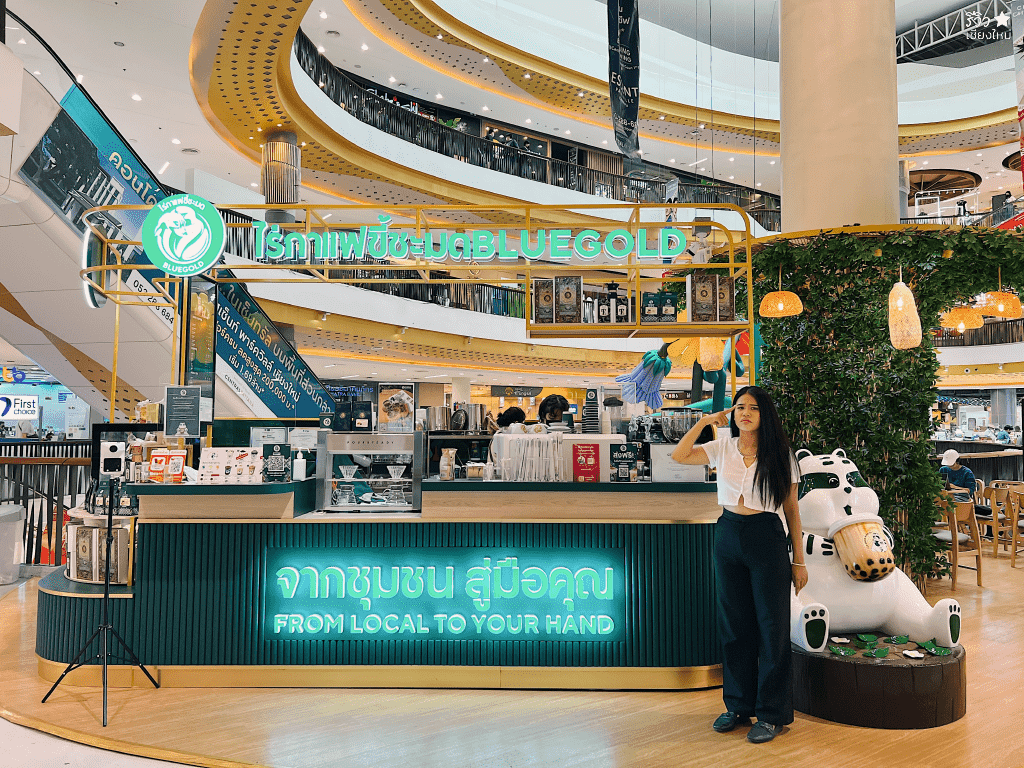 กาแฟโครตแพงแต่เข้มแรงถึงใจ ที่ ไร่กาแฟขี้ชะมด Bluegold เซ็นทรัล เฟสติวัล เชียงใหม่