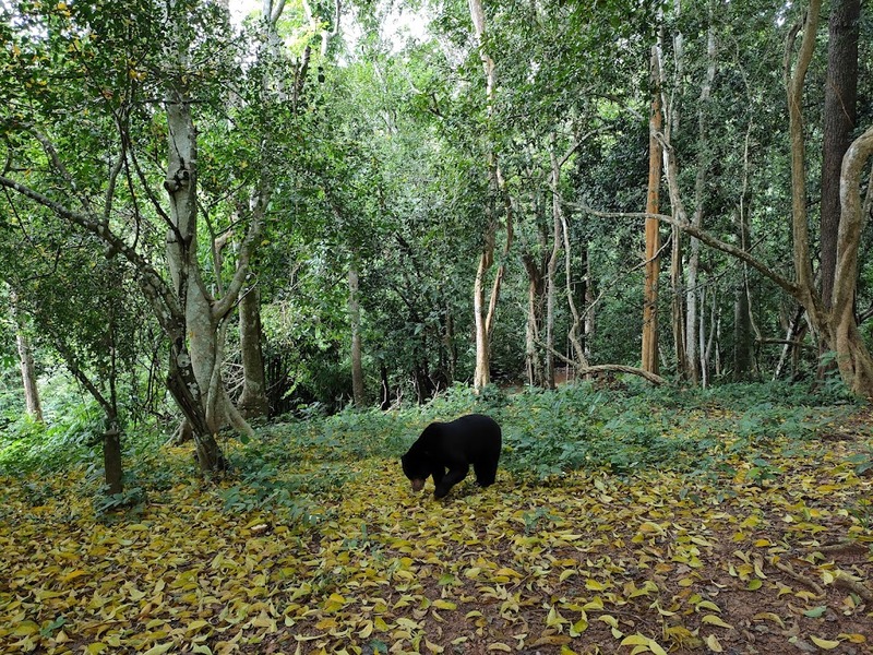 away by a day, camel republic, huai wonder camp, the field animals dream, tumlay cafe & bar, unseen thailand, คาเฟ่เพชรบุรี, คาเมลรีพับลิค, จันทร์จ้าว cafe & restaurant, ช่องกระจกนางพันธุรัต, ชะอำ, ต้นไม้ใบหญ้า คาเฟ่, ตลาดน้ำกวางโจว, ตลาดน้ำบนน้ำตก, ถ้ำวิมานจักรี, ถ้ำเขาย้อย, ที่เที่ยวเพชรบุรี, ที่เที่ยวเพชรบุรี 2023, ที่เที่ยวเพชรบุรี 2024, ที่เที่ยวเพชรบุรี 2566, ที่เที่ยวเพชรบุรี 2567, พระธาตุฉิมพลีพระเศรษฐีนวโกฏิ, พระนครคีรี, พระปรางค์ 5 ยอด, พระรามราชนิเวศน์, พระสังฆราชแตงโม, ยุ้งเกลือ บ้านแหลม, ลานผีเสื้อ, วังบ้านปืน, วัดข่อย, วัดถ้ำเขาหลวง, วัดมหาธาตุ, วัดมหาธาตุวรวิหาร, วัดใหญ่สุวรรณารามวรวิหาร, สวนสนุก, สวนสัตว์, สวิสเซอร์แลนด์ แดนเพชรบุรี, สะพานอ่าวบางตะบูน, สะพานแขวนเขื่อนแก่งกระจาน, หลวงพ่อหกนิ้ว, ห้วยสงสัยแคมป์, หาดชะอำ, หาดปึกเตียน, หาดเจ้าสำราญ, อ่าวบางตะบูน, อุทยานประวัติศาสตร์พระนครคีรี, เขานางนอน, เขานางพันธุรัต, เขาพะเนินทุ่ง, เขาวัง, เขาอีบิด, เขื่อนแก่งกระจาน, เดอะฟิลด์แอนนิมอลดรีมฟาร์มแอนด์การ์เด้น, เที่ยวเพชรบุรี, เพชรบุรี, แคมป์บ้านกร่าง, โครงการชั่งหัวมัน, top 26+ ที่เที่ยวเพชรบุรี [กรกฎาคม 2024] ท่องประวัติศาสตร์ พักผ่อนริมหาด สัมผัสธรรมชาติริมเขา