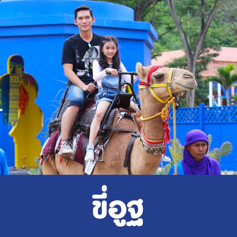 away by a day, camel republic, huai wonder camp, the field animals dream, tumlay cafe & bar, unseen thailand, คาเฟ่เพชรบุรี, คาเมลรีพับลิค, จันทร์จ้าว cafe & restaurant, ช่องกระจกนางพันธุรัต, ชะอำ, ต้นไม้ใบหญ้า คาเฟ่, ตลาดน้ำกวางโจว, ตลาดน้ำบนน้ำตก, ถ้ำวิมานจักรี, ถ้ำเขาย้อย, ที่เที่ยวเพชรบุรี, ที่เที่ยวเพชรบุรี 2023, ที่เที่ยวเพชรบุรี 2024, ที่เที่ยวเพชรบุรี 2566, ที่เที่ยวเพชรบุรี 2567, พระธาตุฉิมพลีพระเศรษฐีนวโกฏิ, พระนครคีรี, พระปรางค์ 5 ยอด, พระรามราชนิเวศน์, พระสังฆราชแตงโม, ยุ้งเกลือ บ้านแหลม, ลานผีเสื้อ, วังบ้านปืน, วัดข่อย, วัดถ้ำเขาหลวง, วัดมหาธาตุ, วัดมหาธาตุวรวิหาร, วัดใหญ่สุวรรณารามวรวิหาร, สวนสนุก, สวนสัตว์, สวิสเซอร์แลนด์ แดนเพชรบุรี, สะพานอ่าวบางตะบูน, สะพานแขวนเขื่อนแก่งกระจาน, หลวงพ่อหกนิ้ว, ห้วยสงสัยแคมป์, หาดชะอำ, หาดปึกเตียน, หาดเจ้าสำราญ, อ่าวบางตะบูน, อุทยานประวัติศาสตร์พระนครคีรี, เขานางนอน, เขานางพันธุรัต, เขาพะเนินทุ่ง, เขาวัง, เขาอีบิด, เขื่อนแก่งกระจาน, เดอะฟิลด์แอนนิมอลดรีมฟาร์มแอนด์การ์เด้น, เที่ยวเพชรบุรี, เพชรบุรี, แคมป์บ้านกร่าง, โครงการชั่งหัวมัน, top 26+ ที่เที่ยวเพชรบุรี [กรกฎาคม 2024] ท่องประวัติศาสตร์ พักผ่อนริมหาด สัมผัสธรรมชาติริมเขา