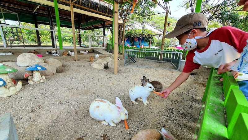 away by a day, camel republic, huai wonder camp, the field animals dream, tumlay cafe & bar, unseen thailand, คาเฟ่เพชรบุรี, คาเมลรีพับลิค, จันทร์จ้าว cafe & restaurant, ช่องกระจกนางพันธุรัต, ชะอำ, ต้นไม้ใบหญ้า คาเฟ่, ตลาดน้ำกวางโจว, ตลาดน้ำบนน้ำตก, ถ้ำวิมานจักรี, ถ้ำเขาย้อย, ที่เที่ยวเพชรบุรี, ที่เที่ยวเพชรบุรี 2023, ที่เที่ยวเพชรบุรี 2024, ที่เที่ยวเพชรบุรี 2566, ที่เที่ยวเพชรบุรี 2567, พระธาตุฉิมพลีพระเศรษฐีนวโกฏิ, พระนครคีรี, พระปรางค์ 5 ยอด, พระรามราชนิเวศน์, พระสังฆราชแตงโม, ยุ้งเกลือ บ้านแหลม, ลานผีเสื้อ, วังบ้านปืน, วัดข่อย, วัดถ้ำเขาหลวง, วัดมหาธาตุ, วัดมหาธาตุวรวิหาร, วัดใหญ่สุวรรณารามวรวิหาร, สวนสนุก, สวนสัตว์, สวิสเซอร์แลนด์ แดนเพชรบุรี, สะพานอ่าวบางตะบูน, สะพานแขวนเขื่อนแก่งกระจาน, หลวงพ่อหกนิ้ว, ห้วยสงสัยแคมป์, หาดชะอำ, หาดปึกเตียน, หาดเจ้าสำราญ, อ่าวบางตะบูน, อุทยานประวัติศาสตร์พระนครคีรี, เขานางนอน, เขานางพันธุรัต, เขาพะเนินทุ่ง, เขาวัง, เขาอีบิด, เขื่อนแก่งกระจาน, เดอะฟิลด์แอนนิมอลดรีมฟาร์มแอนด์การ์เด้น, เที่ยวเพชรบุรี, เพชรบุรี, แคมป์บ้านกร่าง, โครงการชั่งหัวมัน, top 26+ ที่เที่ยวเพชรบุรี [กรกฎาคม 2024] ท่องประวัติศาสตร์ พักผ่อนริมหาด สัมผัสธรรมชาติริมเขา