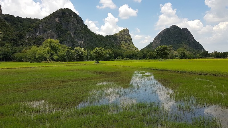 away by a day, camel republic, huai wonder camp, the field animals dream, tumlay cafe & bar, unseen thailand, คาเฟ่เพชรบุรี, คาเมลรีพับลิค, จันทร์จ้าว cafe & restaurant, ช่องกระจกนางพันธุรัต, ชะอำ, ต้นไม้ใบหญ้า คาเฟ่, ตลาดน้ำกวางโจว, ตลาดน้ำบนน้ำตก, ถ้ำวิมานจักรี, ถ้ำเขาย้อย, ที่เที่ยวเพชรบุรี, ที่เที่ยวเพชรบุรี 2023, ที่เที่ยวเพชรบุรี 2024, ที่เที่ยวเพชรบุรี 2566, ที่เที่ยวเพชรบุรี 2567, พระธาตุฉิมพลีพระเศรษฐีนวโกฏิ, พระนครคีรี, พระปรางค์ 5 ยอด, พระรามราชนิเวศน์, พระสังฆราชแตงโม, ยุ้งเกลือ บ้านแหลม, ลานผีเสื้อ, วังบ้านปืน, วัดข่อย, วัดถ้ำเขาหลวง, วัดมหาธาตุ, วัดมหาธาตุวรวิหาร, วัดใหญ่สุวรรณารามวรวิหาร, สวนสนุก, สวนสัตว์, สวิสเซอร์แลนด์ แดนเพชรบุรี, สะพานอ่าวบางตะบูน, สะพานแขวนเขื่อนแก่งกระจาน, หลวงพ่อหกนิ้ว, ห้วยสงสัยแคมป์, หาดชะอำ, หาดปึกเตียน, หาดเจ้าสำราญ, อ่าวบางตะบูน, อุทยานประวัติศาสตร์พระนครคีรี, เขานางนอน, เขานางพันธุรัต, เขาพะเนินทุ่ง, เขาวัง, เขาอีบิด, เขื่อนแก่งกระจาน, เดอะฟิลด์แอนนิมอลดรีมฟาร์มแอนด์การ์เด้น, เที่ยวเพชรบุรี, เพชรบุรี, แคมป์บ้านกร่าง, โครงการชั่งหัวมัน, top 26+ ที่เที่ยวเพชรบุรี [กรกฎาคม 2024] ท่องประวัติศาสตร์ พักผ่อนริมหาด สัมผัสธรรมชาติริมเขา