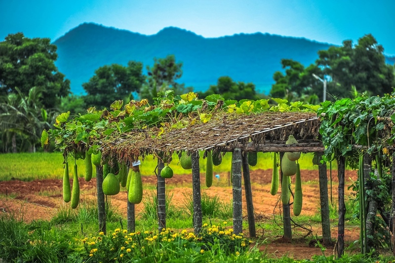 away by a day, camel republic, huai wonder camp, the field animals dream, tumlay cafe & bar, unseen thailand, คาเฟ่เพชรบุรี, คาเมลรีพับลิค, จันทร์จ้าว cafe & restaurant, ช่องกระจกนางพันธุรัต, ชะอำ, ต้นไม้ใบหญ้า คาเฟ่, ตลาดน้ำกวางโจว, ตลาดน้ำบนน้ำตก, ถ้ำวิมานจักรี, ถ้ำเขาย้อย, ที่เที่ยวเพชรบุรี, ที่เที่ยวเพชรบุรี 2023, ที่เที่ยวเพชรบุรี 2024, ที่เที่ยวเพชรบุรี 2566, ที่เที่ยวเพชรบุรี 2567, พระธาตุฉิมพลีพระเศรษฐีนวโกฏิ, พระนครคีรี, พระปรางค์ 5 ยอด, พระรามราชนิเวศน์, พระสังฆราชแตงโม, ยุ้งเกลือ บ้านแหลม, ลานผีเสื้อ, วังบ้านปืน, วัดข่อย, วัดถ้ำเขาหลวง, วัดมหาธาตุ, วัดมหาธาตุวรวิหาร, วัดใหญ่สุวรรณารามวรวิหาร, สวนสนุก, สวนสัตว์, สวิสเซอร์แลนด์ แดนเพชรบุรี, สะพานอ่าวบางตะบูน, สะพานแขวนเขื่อนแก่งกระจาน, หลวงพ่อหกนิ้ว, ห้วยสงสัยแคมป์, หาดชะอำ, หาดปึกเตียน, หาดเจ้าสำราญ, อ่าวบางตะบูน, อุทยานประวัติศาสตร์พระนครคีรี, เขานางนอน, เขานางพันธุรัต, เขาพะเนินทุ่ง, เขาวัง, เขาอีบิด, เขื่อนแก่งกระจาน, เดอะฟิลด์แอนนิมอลดรีมฟาร์มแอนด์การ์เด้น, เที่ยวเพชรบุรี, เพชรบุรี, แคมป์บ้านกร่าง, โครงการชั่งหัวมัน, top 26+ ที่เที่ยวเพชรบุรี [กรกฎาคม 2024] ท่องประวัติศาสตร์ พักผ่อนริมหาด สัมผัสธรรมชาติริมเขา