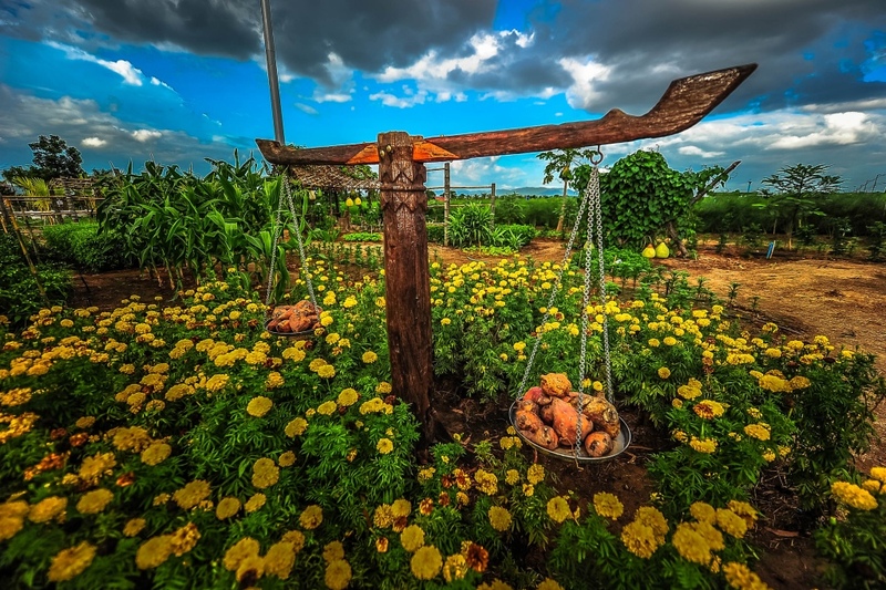 away by a day, camel republic, huai wonder camp, the field animals dream, tumlay cafe & bar, unseen thailand, คาเฟ่เพชรบุรี, คาเมลรีพับลิค, จันทร์จ้าว cafe & restaurant, ช่องกระจกนางพันธุรัต, ชะอำ, ต้นไม้ใบหญ้า คาเฟ่, ตลาดน้ำกวางโจว, ตลาดน้ำบนน้ำตก, ถ้ำวิมานจักรี, ถ้ำเขาย้อย, ที่เที่ยวเพชรบุรี, ที่เที่ยวเพชรบุรี 2023, ที่เที่ยวเพชรบุรี 2024, ที่เที่ยวเพชรบุรี 2566, ที่เที่ยวเพชรบุรี 2567, พระธาตุฉิมพลีพระเศรษฐีนวโกฏิ, พระนครคีรี, พระปรางค์ 5 ยอด, พระรามราชนิเวศน์, พระสังฆราชแตงโม, ยุ้งเกลือ บ้านแหลม, ลานผีเสื้อ, วังบ้านปืน, วัดข่อย, วัดถ้ำเขาหลวง, วัดมหาธาตุ, วัดมหาธาตุวรวิหาร, วัดใหญ่สุวรรณารามวรวิหาร, สวนสนุก, สวนสัตว์, สวิสเซอร์แลนด์ แดนเพชรบุรี, สะพานอ่าวบางตะบูน, สะพานแขวนเขื่อนแก่งกระจาน, หลวงพ่อหกนิ้ว, ห้วยสงสัยแคมป์, หาดชะอำ, หาดปึกเตียน, หาดเจ้าสำราญ, อ่าวบางตะบูน, อุทยานประวัติศาสตร์พระนครคีรี, เขานางนอน, เขานางพันธุรัต, เขาพะเนินทุ่ง, เขาวัง, เขาอีบิด, เขื่อนแก่งกระจาน, เดอะฟิลด์แอนนิมอลดรีมฟาร์มแอนด์การ์เด้น, เที่ยวเพชรบุรี, เพชรบุรี, แคมป์บ้านกร่าง, โครงการชั่งหัวมัน, top 26+ ที่เที่ยวเพชรบุรี [กรกฎาคม 2024] ท่องประวัติศาสตร์ พักผ่อนริมหาด สัมผัสธรรมชาติริมเขา