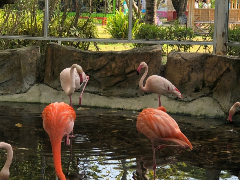 away by a day, camel republic, huai wonder camp, the field animals dream, tumlay cafe & bar, unseen thailand, คาเฟ่เพชรบุรี, คาเมลรีพับลิค, จันทร์จ้าว cafe & restaurant, ช่องกระจกนางพันธุรัต, ชะอำ, ต้นไม้ใบหญ้า คาเฟ่, ตลาดน้ำกวางโจว, ตลาดน้ำบนน้ำตก, ถ้ำวิมานจักรี, ถ้ำเขาย้อย, ที่เที่ยวเพชรบุรี, ที่เที่ยวเพชรบุรี 2023, ที่เที่ยวเพชรบุรี 2024, ที่เที่ยวเพชรบุรี 2566, ที่เที่ยวเพชรบุรี 2567, พระธาตุฉิมพลีพระเศรษฐีนวโกฏิ, พระนครคีรี, พระปรางค์ 5 ยอด, พระรามราชนิเวศน์, พระสังฆราชแตงโม, ยุ้งเกลือ บ้านแหลม, ลานผีเสื้อ, วังบ้านปืน, วัดข่อย, วัดถ้ำเขาหลวง, วัดมหาธาตุ, วัดมหาธาตุวรวิหาร, วัดใหญ่สุวรรณารามวรวิหาร, สวนสนุก, สวนสัตว์, สวิสเซอร์แลนด์ แดนเพชรบุรี, สะพานอ่าวบางตะบูน, สะพานแขวนเขื่อนแก่งกระจาน, หลวงพ่อหกนิ้ว, ห้วยสงสัยแคมป์, หาดชะอำ, หาดปึกเตียน, หาดเจ้าสำราญ, อ่าวบางตะบูน, อุทยานประวัติศาสตร์พระนครคีรี, เขานางนอน, เขานางพันธุรัต, เขาพะเนินทุ่ง, เขาวัง, เขาอีบิด, เขื่อนแก่งกระจาน, เดอะฟิลด์แอนนิมอลดรีมฟาร์มแอนด์การ์เด้น, เที่ยวเพชรบุรี, เพชรบุรี, แคมป์บ้านกร่าง, โครงการชั่งหัวมัน, top 26+ ที่เที่ยวเพชรบุรี [กรกฎาคม 2024] ท่องประวัติศาสตร์ พักผ่อนริมหาด สัมผัสธรรมชาติริมเขา