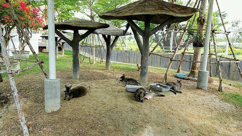 away by a day, camel republic, huai wonder camp, the field animals dream, tumlay cafe & bar, unseen thailand, คาเฟ่เพชรบุรี, คาเมลรีพับลิค, จันทร์จ้าว cafe & restaurant, ช่องกระจกนางพันธุรัต, ชะอำ, ต้นไม้ใบหญ้า คาเฟ่, ตลาดน้ำกวางโจว, ตลาดน้ำบนน้ำตก, ถ้ำวิมานจักรี, ถ้ำเขาย้อย, ที่เที่ยวเพชรบุรี, ที่เที่ยวเพชรบุรี 2023, ที่เที่ยวเพชรบุรี 2024, ที่เที่ยวเพชรบุรี 2566, ที่เที่ยวเพชรบุรี 2567, พระธาตุฉิมพลีพระเศรษฐีนวโกฏิ, พระนครคีรี, พระปรางค์ 5 ยอด, พระรามราชนิเวศน์, พระสังฆราชแตงโม, ยุ้งเกลือ บ้านแหลม, ลานผีเสื้อ, วังบ้านปืน, วัดข่อย, วัดถ้ำเขาหลวง, วัดมหาธาตุ, วัดมหาธาตุวรวิหาร, วัดใหญ่สุวรรณารามวรวิหาร, สวนสนุก, สวนสัตว์, สวิสเซอร์แลนด์ แดนเพชรบุรี, สะพานอ่าวบางตะบูน, สะพานแขวนเขื่อนแก่งกระจาน, หลวงพ่อหกนิ้ว, ห้วยสงสัยแคมป์, หาดชะอำ, หาดปึกเตียน, หาดเจ้าสำราญ, อ่าวบางตะบูน, อุทยานประวัติศาสตร์พระนครคีรี, เขานางนอน, เขานางพันธุรัต, เขาพะเนินทุ่ง, เขาวัง, เขาอีบิด, เขื่อนแก่งกระจาน, เดอะฟิลด์แอนนิมอลดรีมฟาร์มแอนด์การ์เด้น, เที่ยวเพชรบุรี, เพชรบุรี, แคมป์บ้านกร่าง, โครงการชั่งหัวมัน, top 26+ ที่เที่ยวเพชรบุรี [กรกฎาคม 2024] ท่องประวัติศาสตร์ พักผ่อนริมหาด สัมผัสธรรมชาติริมเขา