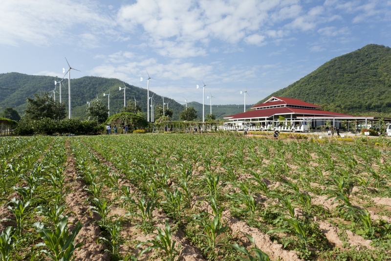 away by a day, camel republic, huai wonder camp, the field animals dream, tumlay cafe & bar, unseen thailand, คาเฟ่เพชรบุรี, คาเมลรีพับลิค, จันทร์จ้าว cafe & restaurant, ช่องกระจกนางพันธุรัต, ชะอำ, ต้นไม้ใบหญ้า คาเฟ่, ตลาดน้ำกวางโจว, ตลาดน้ำบนน้ำตก, ถ้ำวิมานจักรี, ถ้ำเขาย้อย, ที่เที่ยวเพชรบุรี, ที่เที่ยวเพชรบุรี 2023, ที่เที่ยวเพชรบุรี 2024, ที่เที่ยวเพชรบุรี 2566, ที่เที่ยวเพชรบุรี 2567, พระธาตุฉิมพลีพระเศรษฐีนวโกฏิ, พระนครคีรี, พระปรางค์ 5 ยอด, พระรามราชนิเวศน์, พระสังฆราชแตงโม, ยุ้งเกลือ บ้านแหลม, ลานผีเสื้อ, วังบ้านปืน, วัดข่อย, วัดถ้ำเขาหลวง, วัดมหาธาตุ, วัดมหาธาตุวรวิหาร, วัดใหญ่สุวรรณารามวรวิหาร, สวนสนุก, สวนสัตว์, สวิสเซอร์แลนด์ แดนเพชรบุรี, สะพานอ่าวบางตะบูน, สะพานแขวนเขื่อนแก่งกระจาน, หลวงพ่อหกนิ้ว, ห้วยสงสัยแคมป์, หาดชะอำ, หาดปึกเตียน, หาดเจ้าสำราญ, อ่าวบางตะบูน, อุทยานประวัติศาสตร์พระนครคีรี, เขานางนอน, เขานางพันธุรัต, เขาพะเนินทุ่ง, เขาวัง, เขาอีบิด, เขื่อนแก่งกระจาน, เดอะฟิลด์แอนนิมอลดรีมฟาร์มแอนด์การ์เด้น, เที่ยวเพชรบุรี, เพชรบุรี, แคมป์บ้านกร่าง, โครงการชั่งหัวมัน, top 26+ ที่เที่ยวเพชรบุรี [กรกฎาคม 2024] ท่องประวัติศาสตร์ พักผ่อนริมหาด สัมผัสธรรมชาติริมเขา