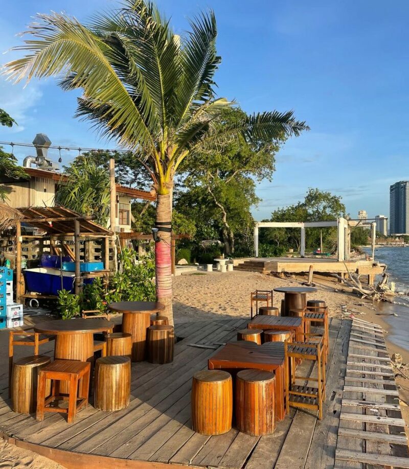 aloha beach cafe, artory cafe and crafts, austin cafe, daydream cafe, daydream café chonburi, hidden lab, highway cafe, milk mountain, milk mountain cafe & restaurant, namon nomwan, nomisuke, nomisuke ramen, open house cafe, peeps breakfast and bar, red temp coffee, seafood club bangsaen, serene house cafe, starter on the beach  (tiny island cafe), the tide cafe, tiny island cafe, tree 33, uncloud coffee, way coffee house, white house beach, white house beach café and restaurant, woowon, คาเฟ่ชลบุรี 2024, คาเฟ่ชลบุรี 2567, คาเฟ่บางแสน, คาเฟ่บางแสน 2024, คาเฟ่บางแสน 2567, คาเฟ่ริมชายหาด, คาเฟ่ริมทะเลบางแสน, คาเฟ่ลับ บางแสน, คาเฟ่เปิดใหม่ บางแสน, คาเฟ่เปิดใหม่บางแสน 2567, คาเฟ่ใกล้ฉัน, ซีฟู้ดคลับ บางแสน, ซีรีนเฮาท์คาเฟ่, บางแสน, บางแสน คาเฟ่, บางแสน คาเฟ่ 2567, มิลค์เม้าเท่น, วูวอน คาเฟ่, หน้ามน หนมหวาน, อันคลาวด์ คาเฟ่, อโลฮาบีช คาเฟ่, ฮิดเดน แลป, เวคอฟฟี่เฮ้าส์, ไฮเวย์ คาเฟ่, ไฮเวย์ คาเฟ่ บางแสน, top 20+ คาเฟ่บางแสน [กรกฎาคม 2024] ดินแดนแห่งคอนเทนท์ริมทะเล นั่งชิลล์จิบกาแฟ ถ่ายรูปเช็คอินรัว ๆ
