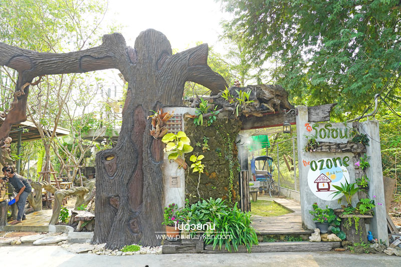 The ozone caf&eacute; บางกระเจ้า คาเฟ่สีเขียวกลางสวนมะพร้าว