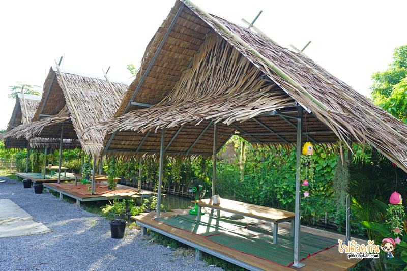 คาเฟ่สมุทรสาคร, ดีกัน คาเฟ่, ดีกัน คาเฟ่ ร้านกาแฟกลางร่องสวน ถ่ายรูปรังนกบาหลี