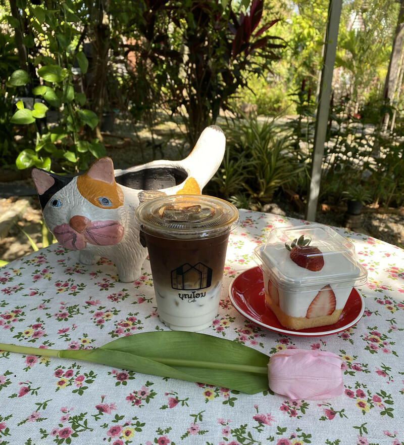 top 10+ คาเฟ่นครพนม 2567 คาเฟ่ริมโขง บรรยากาศดี วิวสวยมาก