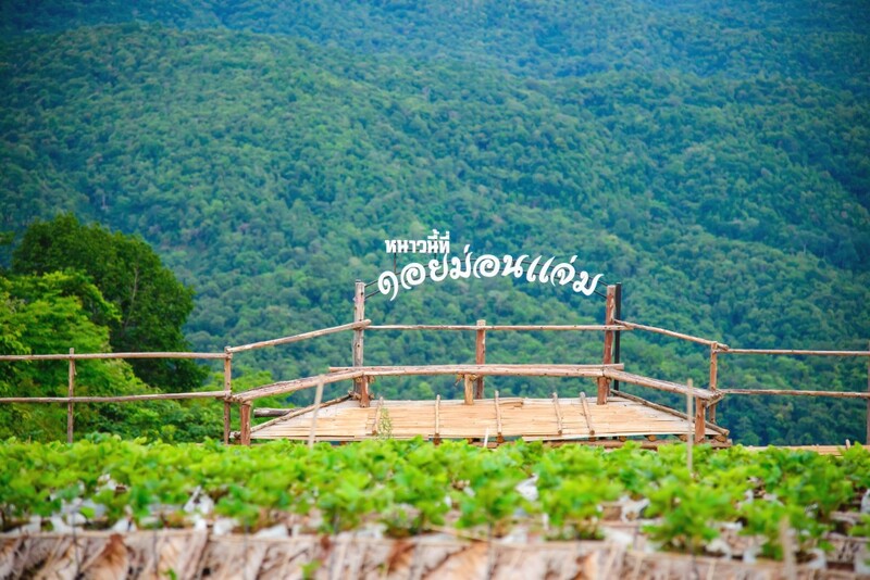 ดอยม่อนแจ่ม, ดอยหลวงเชียงดาว, ดอยอ่างขาง, ดอยอินทนนท์, ถนนคนเดินท่าแพ, ถนนคนเดินวัวลาย, ถนนช้างม่อยเก่า, ที่เที่ยวเชียงใหม่, ที่เที่ยวเชียงใหม่ 2024, ที่เที่ยวเชียงใหม่ 2567, ที่เที่ยวเชียงใหม่ อำเภอเมือง, ที่เที่ยวเมืองเชียงใหม่, นิมมาน, นิมมานเหมินทร์, บ้านป่าบงเปียง, ประตูท่าแพ, พระตำหนักภูพิงคราชนิเวศน์, ม่อนแจ่ม, วัดพระธาตุดอยสุเทพ, วัดพระสิงห์, วัดพระสิงห์ วรมหาวิหาร, วัดศรีสุพรรณ, วัดอุโมงค์ สวนพุทธธรรม, วัดอุโมงค์ เชียงใหม่, วัดเจดีย์หลวงวรวิหาร, สวนพฤกษศาสตร์สมเด็จพระนางเจ้าสิริกิติ์, สวนพฤกษศาสตร์เชียงใหม่, สวนสัตว์เชียงใหม่, ห้วยน้ำดัง, เชียงใหม่, เชียงใหม่ที่เที่ยว, เที่ยวเชียงใหม่, เที่ยวเชียงใหม่ 2024, เที่ยวเชียงใหม่ 2567, เมืองเชียงใหม่, แม่กำปอง, top 30+ ที่เที่ยวเชียงใหม่ อัปเดต [กรกฎาคม 2024] เที่ยวฟิน เคล้าลมหนาว