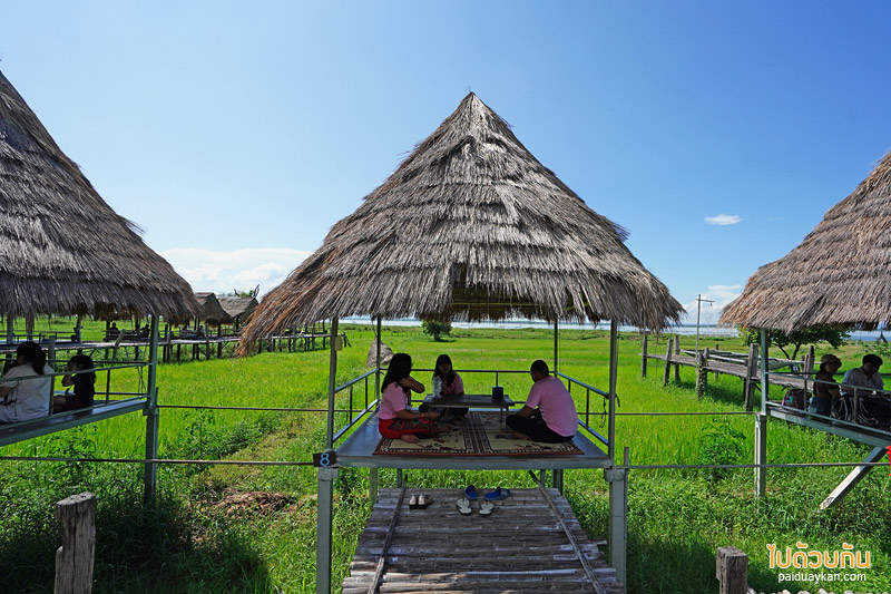 คาเฟ่ขอนแก่น, ร้านอาหารขอนแก่น, บ้านนอกคอกควาย  ขอนแก่น, บ้านนอกคอกควาย ร้านอาหารและบรรยากาศดีกลางทุ่งนา