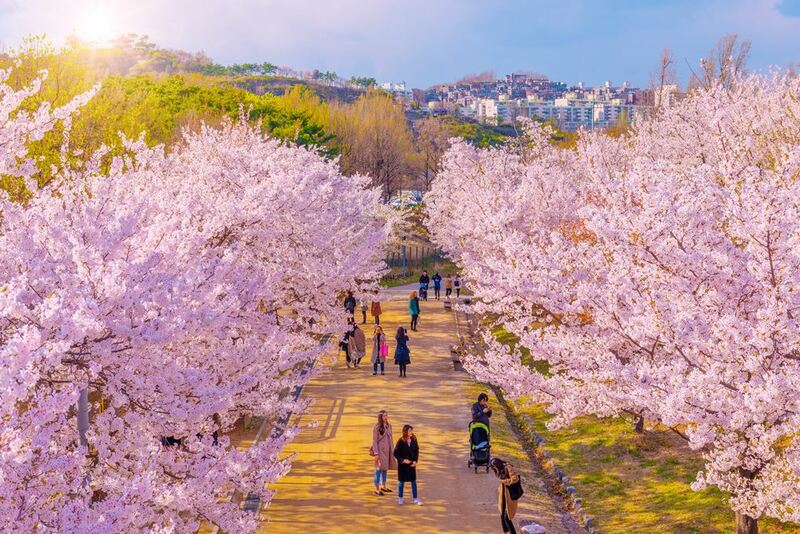 cafe onion, ewha womans university, gangnamdol, gangnamdol haus, gentle monster, han river yeouido hangang park, hongdae, hongs zzuggumi, ikon, k - star road, k-pop, korea world trade center, lotte world, lotte world adventure, lotte world tower, magic island, myeong dong walking street, nudake, nudake haus dosan, seoul forest park, standoil flagship store, starfield library, tamburins, the hyundai seoul, treasure, กระเป๋าแบรนด์เกาหลี, ถนนคนเดินเมียงดง, ถนนเค - สตาร์, ที่เที่ยวกรุงโซล, ที่เที่ยวกรุงโซล 2567, ที่เที่ยวเกาหลี, ที่เที่ยวโซล 2024, ที่เที่ยวโซล 2567, ที่เที่ยวโซลเกาหลี, ปิคนิคแม่น้ำฮัน, พื้นที่นิเวศวิทยาชุ่มน้ำ, มหาวิทยาลัยหญิงล้วนอีวา (, ย่านฮงแด, ร้านหมึกผัดเผ็ด, ลอตเต้ เวิลด์, ล็อตเต้ เวิลด์ ทาวเวอร์, สวนนิเวศวิทยา, สวนป่ากรุงโซล, สวนศิลปวัฒนธรรม, สวนศึกษาธรรมชาติ, สวนสนุกลอตเต้ เวิลด์, สวนสาธารณะริมแม่น้ำฮัน, ห้องสมุดสตาร์ ฟิลด์, ห้างฮุนไดโซล, เกาหลีเกาใจ, เที่ยวกรุงโซล, เที่ยวกรุงโซล 2567, เที่ยวโซล 2024, เที่ยวโซล 2567, แม่น้ำฮัน, ใบไม้เปลี่ยนสี, ใบไม้เปลี่ยนสีโซล, top 15+ ที่เที่ยวในกรุงโซล 2024 สถานที่ฮิต ติดเทรนชาวโซเชี่ยล ได้ฟีลเกาหลีเกาใจ