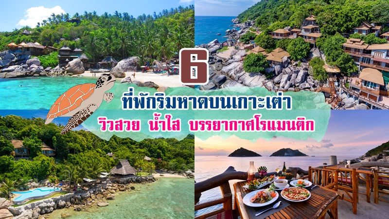 1. Koh Tao Coral Grand Resort, 2. Tanote Villa Hill, 3. View Point Resort, 4. Sensi Paradise Beach Resort, 5. Dusit Buncha Resort, 6. Charm Churee Village Resort, Top 6+ ที่พักเกาะเต่า 2567 ที่พักติดทะเลวิวสวย น้ำใส