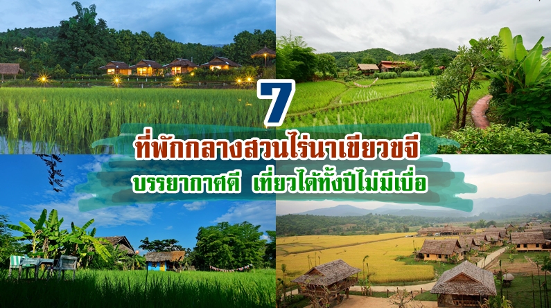 top 7+ ที่พักวิวทุ่งนากลางไร่สวน บรรยากาศดี เที่ยวได้ทั้งปีไม่มีเบื่อ
