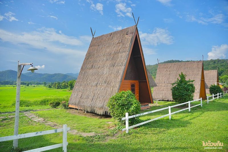 เมืองคอง, ที่พักเมืองคอง, เถียงนา ฟาร์มสเตย์, เถียงนา ฟาร์มสเตย์ เมืองคอง ที่พักหลักร้อย ชมวิวทุ่งนากว้าง
