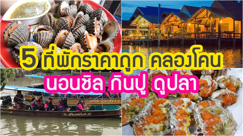 1. ภูษิตโฮมสเตย์, 2. โฮมกระเตงชาวเล &amp; ซีฟู้ด, 3. ถาวร ซีฟู้ด &amp; โฮมสเตย์, 4. บ้านคลองโคนรีสอร์ท (ลุงแดง), 5. ผู้ใหญ่ชงค์โฮมสเตย์, Top 5+ โฮมสเตย์คลองโคน 2567 ที่พักสมุทรสงคราม อาหารทะเลสดๆ