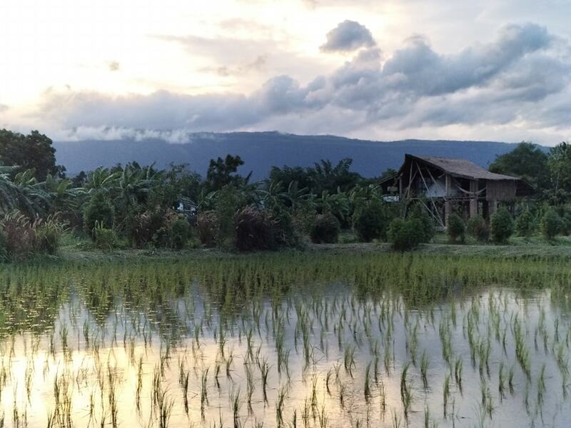 จังหวัดเลย, ถนนคนเดินเชียงคาน, ถนนลอยฟ้า ภูเก้าง้อม, ที่เที่ยวจังหวัดเลย 2023, ที่เที่ยวจังหวัดเลย 2566, ที่เที่ยวเลย, ที่เที่ยวเลย 2023, ที่เที่ยวเลย 2566, ผีตาโขนวัดโพนชัย, พิพิธภัณฑ์ผีตาโขน, ฟูจิเมืองเลย, ภูกระดึง, ภูซำทอง, ภูบ่อบิด, ภูบักได, ภูป่าเปาะ, ภูลมโล, ภูลำดวน, ภูเก้าง้อม, วนอุทยานภูบ่อบิด, วัดพระธาตุศรีสองรัก, วัดศรีคุณเมือง, วัดเนรมิตวิปัสสนา, วัดใหญ่, สกายวอล์คภูคกงิ้ว, สกายวอล์คเชียงคาน, สวนหินผางาม, ห้วยกระทิง, ห้วยน้ำหมานตอนบน, อุทยานแห่งชาตินาแห้ว, อุทยานแห่งชาติภูสวนทราย, อุทยานแห่งชาติภูเรือ, เชียงคาน, เลย, แก่งคุดคู้, top 20+ ที่เที่ยวจังหวัดเลย [กรกฎาคม 2024] ใช้ชีวิตสโลว์ไลฟ์ เที่ยวธรรมชาติ ชมความงามของทะเลภูเขา