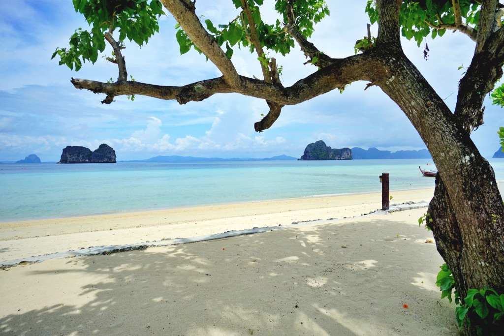 koh hai fantasy resort and spa, koh ngai cliff beach resort, koh ngai kaimuk thong resort, koh ngai paradise beach resort, koh ngai resort, koh ngai thanya resort, thapwarin resort, ทับวารินทร์ รีสอร์ท, ที่พักเกาะไหง, ที่พักเกาะไหง 2024, ที่พักเกาะไหง 2567, ที่พักเกาะไหง ติดทะเล, ที่พักเกาะไหง ติดทะเล 2024, ที่พักเกาะไหง ติดทะเล 2567, เกาะไหง, เกาะไหง คลิฟ บีช รีสอร์ท, เกาะไหง ธัญญา รีสอร์ท, เกาะไหง พาราไดซ์ บีช รีสอร์ท, เกาะไหง รีสอร์ท, เกาะไหง แฟนตาซี รีสอร์ท แอนด์ สปา, เกาะไหง ไข่มุกทอง รีสอร์ท, top 9+ ที่พักเกาะไหง [กรกฎาคม 2024] หนีความวุ่นวาย เอนกายสัมผัสธรรมชาติ ท่ามกลางความเงียบสงบ