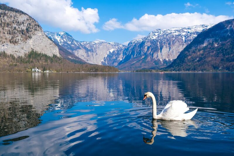 capital of alps, danube, eisriesenwelt ice cave, evangelische pfarrkirche hallstatt, graz, grossglockner, grossglockner high alpine road, hallstatt, hohe tauern national park, innsbruck, klagenfurt, krimml falls, kunsthaus, lindworm fountain, mirabell palace, murinsel, salzach, salzburg, schloss ambras, swarovski crystal worlds, the sound of music, unesco, vienna, wachau valley, white lake, wolfgang amadeus mozart, world of the ice giants, กราซ, ซาลซ์บูร์ก, ถ้ำน้ำแข็ง, ถ้ำน้ำแข็งที่ใหญ่ที่สุดในโลก, ถิ่นกำเนิดของโมซาร์ท, ที่เที่ยวออสเตรีย, ประเทศออสเตรีย, ปราสาทอัมบราส, พระราชวังมิราเบล, พระราชวังฮอฟบวร์ก, พระราชวังเชินบรุนน์, มนต์รักเพลงสวรรค์, มหาวิหารเซนต์สตีเฟน, มูรินเซล, ลานน้ำพุมังกรลินท์วูร์ม, วาเคา วัลเล่ย์, องค์กรยูเนสโก, ออสเตรีย, ออสเตรีย 2024, ออสเตรีย2023, ออสเตรีย2566, อินส์บรูค, อุทยานแห่งชาติ, ฮัลล์สตัทท์, เที่ยวออสเตรีย, เที่ยวออสเตรีย 2567, เทือกเขาแอลป์, เมืองคลาเกนฟูร์ท, เมืองที่น่าอยู่ที่สุดในโลก, เมืองมหาวิทยาลัยของออสเตรีย, เวียนนา, แม่น้ำดานูบ, แม่น้ำเมอร์เลย, แหล่งมรดกโลก, โมซาร์ท, ไส้กรอกเวียนนา, top 10+ ที่เที่ยวออสเตรีย [กรกฎาคม 2024] วิวธรรมชาติระดับมรดกโลก บรรยากาศโรแมนติก