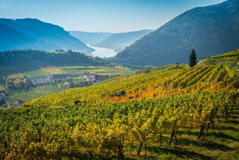 capital of alps, danube, eisriesenwelt ice cave, evangelische pfarrkirche hallstatt, graz, grossglockner, grossglockner high alpine road, hallstatt, hohe tauern national park, innsbruck, klagenfurt, krimml falls, kunsthaus, lindworm fountain, mirabell palace, murinsel, salzach, salzburg, schloss ambras, swarovski crystal worlds, the sound of music, unesco, vienna, wachau valley, white lake, wolfgang amadeus mozart, world of the ice giants, กราซ, ซาลซ์บูร์ก, ถ้ำน้ำแข็ง, ถ้ำน้ำแข็งที่ใหญ่ที่สุดในโลก, ถิ่นกำเนิดของโมซาร์ท, ที่เที่ยวออสเตรีย, ประเทศออสเตรีย, ปราสาทอัมบราส, พระราชวังมิราเบล, พระราชวังฮอฟบวร์ก, พระราชวังเชินบรุนน์, มนต์รักเพลงสวรรค์, มหาวิหารเซนต์สตีเฟน, มูรินเซล, ลานน้ำพุมังกรลินท์วูร์ม, วาเคา วัลเล่ย์, องค์กรยูเนสโก, ออสเตรีย, ออสเตรีย 2024, ออสเตรีย2023, ออสเตรีย2566, อินส์บรูค, อุทยานแห่งชาติ, ฮัลล์สตัทท์, เที่ยวออสเตรีย, เที่ยวออสเตรีย 2567, เทือกเขาแอลป์, เมืองคลาเกนฟูร์ท, เมืองที่น่าอยู่ที่สุดในโลก, เมืองมหาวิทยาลัยของออสเตรีย, เวียนนา, แม่น้ำดานูบ, แม่น้ำเมอร์เลย, แหล่งมรดกโลก, โมซาร์ท, ไส้กรอกเวียนนา, top 10+ ที่เที่ยวออสเตรีย [กรกฎาคม 2024] วิวธรรมชาติระดับมรดกโลก บรรยากาศโรแมนติก