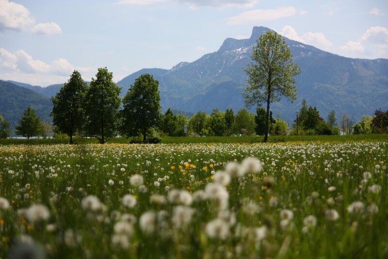 capital of alps, danube, eisriesenwelt ice cave, evangelische pfarrkirche hallstatt, graz, grossglockner, grossglockner high alpine road, hallstatt, hohe tauern national park, innsbruck, klagenfurt, krimml falls, kunsthaus, lindworm fountain, mirabell palace, murinsel, salzach, salzburg, schloss ambras, swarovski crystal worlds, the sound of music, unesco, vienna, wachau valley, white lake, wolfgang amadeus mozart, world of the ice giants, กราซ, ซาลซ์บูร์ก, ถ้ำน้ำแข็ง, ถ้ำน้ำแข็งที่ใหญ่ที่สุดในโลก, ถิ่นกำเนิดของโมซาร์ท, ที่เที่ยวออสเตรีย, ประเทศออสเตรีย, ปราสาทอัมบราส, พระราชวังมิราเบล, พระราชวังฮอฟบวร์ก, พระราชวังเชินบรุนน์, มนต์รักเพลงสวรรค์, มหาวิหารเซนต์สตีเฟน, มูรินเซล, ลานน้ำพุมังกรลินท์วูร์ม, วาเคา วัลเล่ย์, องค์กรยูเนสโก, ออสเตรีย, ออสเตรีย 2024, ออสเตรีย2023, ออสเตรีย2566, อินส์บรูค, อุทยานแห่งชาติ, ฮัลล์สตัทท์, เที่ยวออสเตรีย, เที่ยวออสเตรีย 2567, เทือกเขาแอลป์, เมืองคลาเกนฟูร์ท, เมืองที่น่าอยู่ที่สุดในโลก, เมืองมหาวิทยาลัยของออสเตรีย, เวียนนา, แม่น้ำดานูบ, แม่น้ำเมอร์เลย, แหล่งมรดกโลก, โมซาร์ท, ไส้กรอกเวียนนา, top 10+ ที่เที่ยวออสเตรีย [กรกฎาคม 2024] วิวธรรมชาติระดับมรดกโลก บรรยากาศโรแมนติก