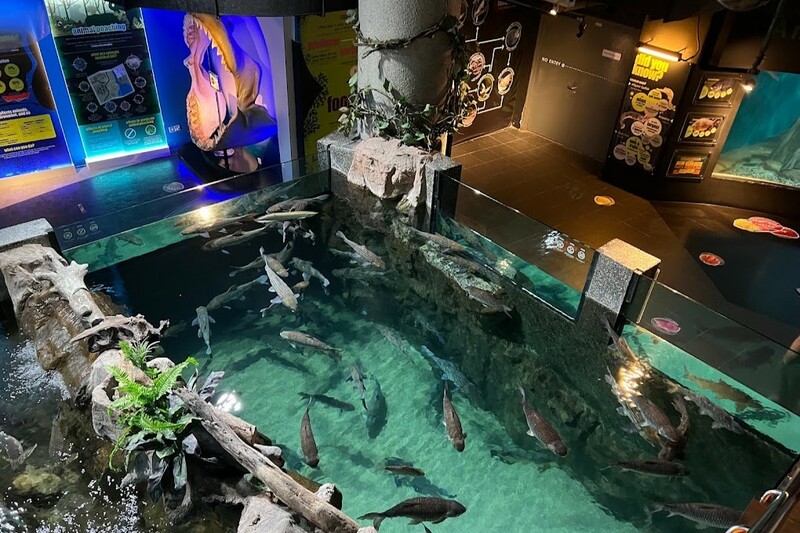 aquaria klcc, batu caves, chinatown kl, chinatown kuala lumpur, genting skyworlds theme park, gmujp;, ho kow hainam kopitiam, jalan alor street art, kl tower, moorish, nasi lemak, obsercation deck, petronas twin tower, pintasan saloma bridge, sky box, street arts, sultan abdul samad building, thean hou temple, กัวลาลัมเปอร์ 2567, ตึกแฝดปิโตรนาส, ตึกแฝดมาเลเซีย, ถ้ำบาตู, ถ้ำเทวาลัย, ที่เที่ยวกัวลาลัมเปอร์, ที่เที่ยวกัวลาลัมเปอร์ 2567, นาสิ เลอมัก, บันไดหลากสีสัน, บิ๊กเบนมาเลเซีย, พระขันธกุมารที่สูงที่สุดในโลก, มาเลเซีย 2024, มาเลเซีย 2567, ร้านหนังสือในมาเลเซีย, วัดเทียนโห่ว, สตรีทอาร์ต, สตรีทอาร์ตกัวลาลัมเปอร์, สตรีทอาร์ตมาเลเซีย, สวนสนุกมาเลเซีย, สะพานมาเลเซีย, สะพานลอยฟ้า, หอคอยกัวลาลัมเปอร์, หอนาฬิกามาเลเซีย, อความเรี่ยมมาเลเซีย, อาคารสุลต่านอับดุลซาหมัด, อาหารเช้าในมาเลเซีย, เจ้าแม่ทับทิม, เที่ยวกัวลาลัมเปอร์, เที่ยวมาเลเซีย, เที่ยวมาเลเซีย 2024, เมืองหลวงมาเลเซีย, แลนด์มาร์คมาเลเซีย, ไชน่าทาวน์มาเลเซีย, top 12+ ที่เที่ยวกัวลาลัมเปอร์ 2024 เมืองหลวงมาเลเซีย เที่ยวรอบเมือง เช็คอินพิกัดเด็ด