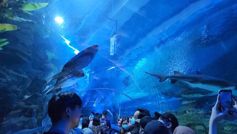aquaria klcc, batu caves, chinatown kl, chinatown kuala lumpur, genting skyworlds theme park, gmujp;, ho kow hainam kopitiam, jalan alor street art, kl tower, moorish, nasi lemak, obsercation deck, petronas twin tower, pintasan saloma bridge, sky box, street arts, sultan abdul samad building, thean hou temple, กัวลาลัมเปอร์ 2567, ตึกแฝดปิโตรนาส, ตึกแฝดมาเลเซีย, ถ้ำบาตู, ถ้ำเทวาลัย, ที่เที่ยวกัวลาลัมเปอร์, ที่เที่ยวกัวลาลัมเปอร์ 2567, นาสิ เลอมัก, บันไดหลากสีสัน, บิ๊กเบนมาเลเซีย, พระขันธกุมารที่สูงที่สุดในโลก, มาเลเซีย 2024, มาเลเซีย 2567, ร้านหนังสือในมาเลเซีย, วัดเทียนโห่ว, สตรีทอาร์ต, สตรีทอาร์ตกัวลาลัมเปอร์, สตรีทอาร์ตมาเลเซีย, สวนสนุกมาเลเซีย, สะพานมาเลเซีย, สะพานลอยฟ้า, หอคอยกัวลาลัมเปอร์, หอนาฬิกามาเลเซีย, อความเรี่ยมมาเลเซีย, อาคารสุลต่านอับดุลซาหมัด, อาหารเช้าในมาเลเซีย, เจ้าแม่ทับทิม, เที่ยวกัวลาลัมเปอร์, เที่ยวมาเลเซีย, เที่ยวมาเลเซีย 2024, เมืองหลวงมาเลเซีย, แลนด์มาร์คมาเลเซีย, ไชน่าทาวน์มาเลเซีย, top 12+ ที่เที่ยวกัวลาลัมเปอร์ 2024 เมืองหลวงมาเลเซีย เที่ยวรอบเมือง เช็คอินพิกัดเด็ด