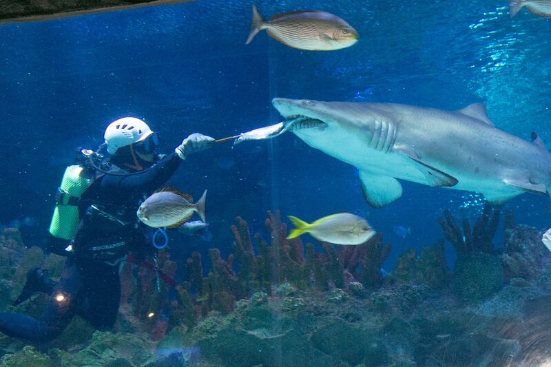aquaria klcc, batu caves, chinatown kl, chinatown kuala lumpur, genting skyworlds theme park, gmujp;, ho kow hainam kopitiam, jalan alor street art, kl tower, moorish, nasi lemak, obsercation deck, petronas twin tower, pintasan saloma bridge, sky box, street arts, sultan abdul samad building, thean hou temple, กัวลาลัมเปอร์ 2567, ตึกแฝดปิโตรนาส, ตึกแฝดมาเลเซีย, ถ้ำบาตู, ถ้ำเทวาลัย, ที่เที่ยวกัวลาลัมเปอร์, ที่เที่ยวกัวลาลัมเปอร์ 2567, นาสิ เลอมัก, บันไดหลากสีสัน, บิ๊กเบนมาเลเซีย, พระขันธกุมารที่สูงที่สุดในโลก, มาเลเซีย 2024, มาเลเซีย 2567, ร้านหนังสือในมาเลเซีย, วัดเทียนโห่ว, สตรีทอาร์ต, สตรีทอาร์ตกัวลาลัมเปอร์, สตรีทอาร์ตมาเลเซีย, สวนสนุกมาเลเซีย, สะพานมาเลเซีย, สะพานลอยฟ้า, หอคอยกัวลาลัมเปอร์, หอนาฬิกามาเลเซีย, อความเรี่ยมมาเลเซีย, อาคารสุลต่านอับดุลซาหมัด, อาหารเช้าในมาเลเซีย, เจ้าแม่ทับทิม, เที่ยวกัวลาลัมเปอร์, เที่ยวมาเลเซีย, เที่ยวมาเลเซีย 2024, เมืองหลวงมาเลเซีย, แลนด์มาร์คมาเลเซีย, ไชน่าทาวน์มาเลเซีย, top 12+ ที่เที่ยวกัวลาลัมเปอร์ 2024 เมืองหลวงมาเลเซีย เที่ยวรอบเมือง เช็คอินพิกัดเด็ด