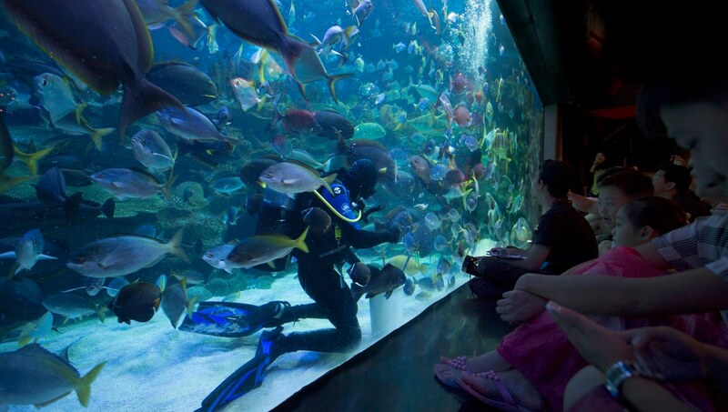 aquaria klcc, batu caves, chinatown kl, chinatown kuala lumpur, genting skyworlds theme park, gmujp;, ho kow hainam kopitiam, jalan alor street art, kl tower, moorish, nasi lemak, obsercation deck, petronas twin tower, pintasan saloma bridge, sky box, street arts, sultan abdul samad building, thean hou temple, กัวลาลัมเปอร์ 2567, ตึกแฝดปิโตรนาส, ตึกแฝดมาเลเซีย, ถ้ำบาตู, ถ้ำเทวาลัย, ที่เที่ยวกัวลาลัมเปอร์, ที่เที่ยวกัวลาลัมเปอร์ 2567, นาสิ เลอมัก, บันไดหลากสีสัน, บิ๊กเบนมาเลเซีย, พระขันธกุมารที่สูงที่สุดในโลก, มาเลเซีย 2024, มาเลเซีย 2567, ร้านหนังสือในมาเลเซีย, วัดเทียนโห่ว, สตรีทอาร์ต, สตรีทอาร์ตกัวลาลัมเปอร์, สตรีทอาร์ตมาเลเซีย, สวนสนุกมาเลเซีย, สะพานมาเลเซีย, สะพานลอยฟ้า, หอคอยกัวลาลัมเปอร์, หอนาฬิกามาเลเซีย, อความเรี่ยมมาเลเซีย, อาคารสุลต่านอับดุลซาหมัด, อาหารเช้าในมาเลเซีย, เจ้าแม่ทับทิม, เที่ยวกัวลาลัมเปอร์, เที่ยวมาเลเซีย, เที่ยวมาเลเซีย 2024, เมืองหลวงมาเลเซีย, แลนด์มาร์คมาเลเซีย, ไชน่าทาวน์มาเลเซีย, top 12+ ที่เที่ยวกัวลาลัมเปอร์ 2024 เมืองหลวงมาเลเซีย เที่ยวรอบเมือง เช็คอินพิกัดเด็ด