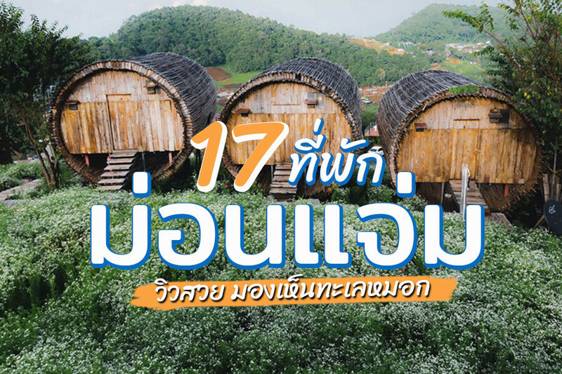 1. ไร่มีนา ม่อนแจ่ม (Rai Meena Moncham), 2. ม่อนชาพาเพลิน ม่อนแจ่ม (Monchapaplearn Monjam), 3. สวนอีเดน ม่อนแจ่ม, 4. บ้านภูต้นซ้อ ม่อนแจ่ม เชียงใหม่, 5. ปานวิมาน เชียงใหม่ สปา รีสอร์ท (Panviman Chiang Mai Spa Resort), 6. เดอะดอย ม่อนแจ่ม (The Doi Moncham), 7. sai doi, 8. จีรัง เฮลท์ วิลเลจ (Jirung Health Village), 9. ม่อนพาฝัน (monpafawn), 10. โรงแรมพราวภูฟ้า (Proud Phu Fah Hotel), 11. แม่สาวาเล่ย์ การ์เดน รีสอร์ต (Mae Sa Valley Garden Resort), 12. คูลดาวส์ รีสอร์ท (Cool downs Resort), 13. ภูหมอกดาว รีสอร์ต (Phumorkdao Resort), 14. ไร่หยดเหมย รีสอร์ท, 15. แคปิตัล โอ แอท นาตา เชียงใหม่ ชิควิว (Capital O 469 At Nata Chiangmai Chic View), 16. กุฎี บูติก รีสอร์ท (Gudi Boutique Resort), 17. กังสดาล รีสอร์ท แอนด์ วอเตอร์ฟอลล์ (Kangsadarn Resort &amp; Waterfall), Top 17+ ที่พักม่อนแจ่ม 2567 จ.เชียงใหม่ วิวทะเลหมอก อัปเดตใหม่ล่าสุด