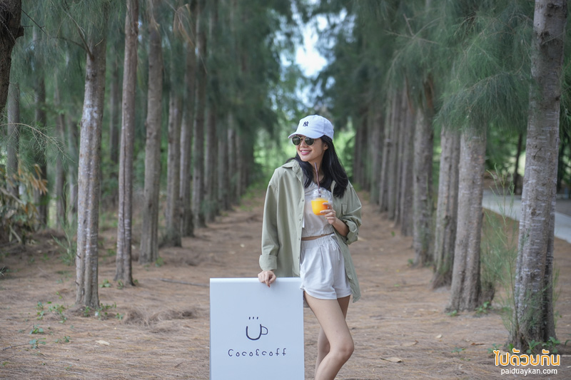เที่ยวเพชรบุรี, คาเฟ่เพชรบุรี, top 20+ คาเฟ่เพชรบุรี ชะอำ มาครบทั้งชิค ริมทะเล