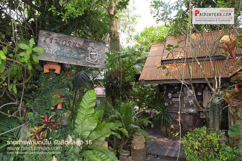 ร้านกาแฟกับต้นไม้ นครนายก