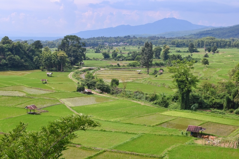 bali nan, kew muang basecamp, กระซิบรักบรรลือโลก, กาดข่วงเมืองน่าน, กาแฟบ้านไทยลื้อ, กิ่วม่วง เบสแคมป์, คอกเสือ, คาเฟ่จังหวัดน่าน, คาเฟ่หยุดเวลา, จุดชมวิว 1715, จุดชมวิวสะปัน, ซุ้มอุโมงค์ลีลาวดี น่าน, ดอยภูคา, ดอยสกาด, ดอยเสมอดาว, ถนนคนเดินเมืองน่าน, ถนนลอยฟ้า, ถนนหมายเลข 1081, ถนนหมายเลข 3, ที่เที่ยว, ที่เที่ยวจังหวัดน่าน, ที่เที่ยวน่าน, ที่เที่ยวน่าน 2023, ที่เที่ยวน่าน2566, ที่เที่ยวใกล้ฉัน, นาขั้นบันได, นาตาทา, นาตาทา cafe & farm stay, น้ำตกสะปัน, บ่อเกลือ, บ่อเกลือ สินเธาว์, บ้านห้วยหมี, บ้านเปียงซ้อ, บ้านเวร, บาหลี น่าน, บาหลี น่าน bali nan, ประตูสวรรค์ น่าน, ปัว, พระธาตุแช่แห้ง น่าน, พระบรมธาตุแช่แห้ง, พิพิธภัณฑสถานน่าน, ฟาร์มเห็ดบ้านหัวน้ำ, ภูแววิว, ม่อนสกาด, ม่อนสกาด คาเฟ่ & ฟาร์มเสตย์, ร้านกาแฟดอยกว่าง, วัดพระธาตุเขาน้อย, วัดภูมินทร์, วัดมิ่งเมือง, สะปัน, หมู่บ้านสะปัน, หยุดเวลาคาเฟ่, ห้วยหมี, หอศิลป์ริมน่าน, อุทยานแห่งชาติขุนน่าน, อุทยานแห่งชาติศรีน่าน, เที่ยวน่าน 2023, เที่ยวน่าน 2566, เวนิส บ้านเวร, เสาดินนาน้อย, เสาดินนาน้อยคอกเสือ, ไร่ปางแกะ, top 25+ ที่เที่ยวน่าน [กรกฎาคม 2024] ใช้ชีวิตสโลว์ไลฟ์ ดื่มด่ำบรรยากาศ ชื่นชมธรรมชาติสุดฟิน