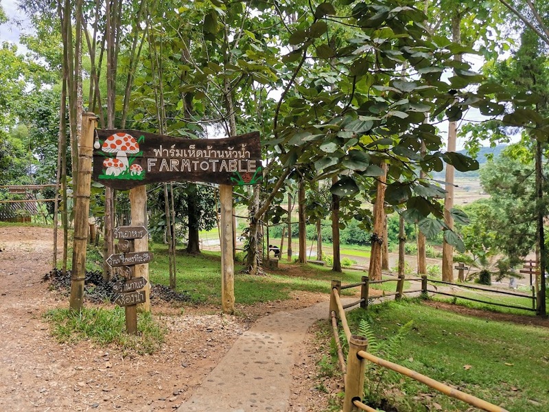 bali nan, kew muang basecamp, กระซิบรักบรรลือโลก, กาดข่วงเมืองน่าน, กาแฟบ้านไทยลื้อ, กิ่วม่วง เบสแคมป์, คอกเสือ, คาเฟ่จังหวัดน่าน, คาเฟ่หยุดเวลา, จุดชมวิว 1715, จุดชมวิวสะปัน, ซุ้มอุโมงค์ลีลาวดี น่าน, ดอยภูคา, ดอยสกาด, ดอยเสมอดาว, ถนนคนเดินเมืองน่าน, ถนนลอยฟ้า, ถนนหมายเลข 1081, ถนนหมายเลข 3, ที่เที่ยว, ที่เที่ยวจังหวัดน่าน, ที่เที่ยวน่าน, ที่เที่ยวน่าน 2023, ที่เที่ยวน่าน2566, ที่เที่ยวใกล้ฉัน, นาขั้นบันได, นาตาทา, นาตาทา cafe & farm stay, น้ำตกสะปัน, บ่อเกลือ, บ่อเกลือ สินเธาว์, บ้านห้วยหมี, บ้านเปียงซ้อ, บ้านเวร, บาหลี น่าน, บาหลี น่าน bali nan, ประตูสวรรค์ น่าน, ปัว, พระธาตุแช่แห้ง น่าน, พระบรมธาตุแช่แห้ง, พิพิธภัณฑสถานน่าน, ฟาร์มเห็ดบ้านหัวน้ำ, ภูแววิว, ม่อนสกาด, ม่อนสกาด คาเฟ่ & ฟาร์มเสตย์, ร้านกาแฟดอยกว่าง, วัดพระธาตุเขาน้อย, วัดภูมินทร์, วัดมิ่งเมือง, สะปัน, หมู่บ้านสะปัน, หยุดเวลาคาเฟ่, ห้วยหมี, หอศิลป์ริมน่าน, อุทยานแห่งชาติขุนน่าน, อุทยานแห่งชาติศรีน่าน, เที่ยวน่าน 2023, เที่ยวน่าน 2566, เวนิส บ้านเวร, เสาดินนาน้อย, เสาดินนาน้อยคอกเสือ, ไร่ปางแกะ, top 25+ ที่เที่ยวน่าน [กรกฎาคม 2024] ใช้ชีวิตสโลว์ไลฟ์ ดื่มด่ำบรรยากาศ ชื่นชมธรรมชาติสุดฟิน