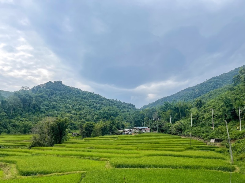 bali nan, kew muang basecamp, กระซิบรักบรรลือโลก, กาดข่วงเมืองน่าน, กาแฟบ้านไทยลื้อ, กิ่วม่วง เบสแคมป์, คอกเสือ, คาเฟ่จังหวัดน่าน, คาเฟ่หยุดเวลา, จุดชมวิว 1715, จุดชมวิวสะปัน, ซุ้มอุโมงค์ลีลาวดี น่าน, ดอยภูคา, ดอยสกาด, ดอยเสมอดาว, ถนนคนเดินเมืองน่าน, ถนนลอยฟ้า, ถนนหมายเลข 1081, ถนนหมายเลข 3, ที่เที่ยว, ที่เที่ยวจังหวัดน่าน, ที่เที่ยวน่าน, ที่เที่ยวน่าน 2023, ที่เที่ยวน่าน2566, ที่เที่ยวใกล้ฉัน, นาขั้นบันได, นาตาทา, นาตาทา cafe & farm stay, น้ำตกสะปัน, บ่อเกลือ, บ่อเกลือ สินเธาว์, บ้านห้วยหมี, บ้านเปียงซ้อ, บ้านเวร, บาหลี น่าน, บาหลี น่าน bali nan, ประตูสวรรค์ น่าน, ปัว, พระธาตุแช่แห้ง น่าน, พระบรมธาตุแช่แห้ง, พิพิธภัณฑสถานน่าน, ฟาร์มเห็ดบ้านหัวน้ำ, ภูแววิว, ม่อนสกาด, ม่อนสกาด คาเฟ่ & ฟาร์มเสตย์, ร้านกาแฟดอยกว่าง, วัดพระธาตุเขาน้อย, วัดภูมินทร์, วัดมิ่งเมือง, สะปัน, หมู่บ้านสะปัน, หยุดเวลาคาเฟ่, ห้วยหมี, หอศิลป์ริมน่าน, อุทยานแห่งชาติขุนน่าน, อุทยานแห่งชาติศรีน่าน, เที่ยวน่าน 2023, เที่ยวน่าน 2566, เวนิส บ้านเวร, เสาดินนาน้อย, เสาดินนาน้อยคอกเสือ, ไร่ปางแกะ, top 25+ ที่เที่ยวน่าน [กรกฎาคม 2024] ใช้ชีวิตสโลว์ไลฟ์ ดื่มด่ำบรรยากาศ ชื่นชมธรรมชาติสุดฟิน