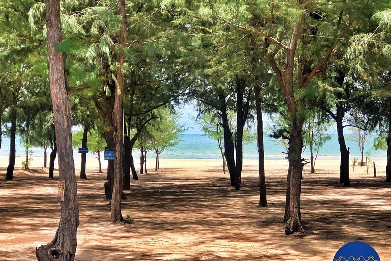 away by a day, bay window at sea cha-am, eco cozy beachfront resort chaam, elmas cha-am desige hotel, lullaby the sea, mimi & jim co-living space, springfield at sea resort & spa, sun marina cha-am, sun marina cha-am hotel, talay hotel & villa, vann hua hin resort, ซันมารีน่า ชะอำ, ทะเล โฮเทล แอนด์ วิลล่า, ที่พักชะอำ, ที่พักชะอำ 2024, ที่พักชะอำ 2567, ที่พักชะอำ ติดทะเล, ที่พักชะอำ หัวหิน, ที่พักชะอำติดทะเล, ที่พักชะอำติดทะเล 2024, ที่พักชะอำติดทะเล 2567, ที่พักเพชรบุรี ติดทะเล, มีมี่ แอนด์ จิม โค-ลีฟวิ่ง สเปซ, รถบ้านชะอำ, รีสอร์ตชะอำ, ลั้ลลาบาย เดอะ ซี, สปริงฟิลด์ แอท ซี รีสอร์ต แอนด์ สปา, อีโค่ โคซี่ บีชฟร้อน รีสอร์ต ชะอำ, เบย์ วินโดว์ แอท ซี ชะอำ, เอลมาส ชะอำ ดีไซน์ โฮเทล, แวนน์ หัวหิน รีสอร์ต, โรงแรมชะอำ, top 10+ ที่พักชะอำ ติดทะเล จังหวัดเพชรบุรี [กรกฎาคม 2024] พักผ่อนสบาย ถ่ายรูปเพลิน